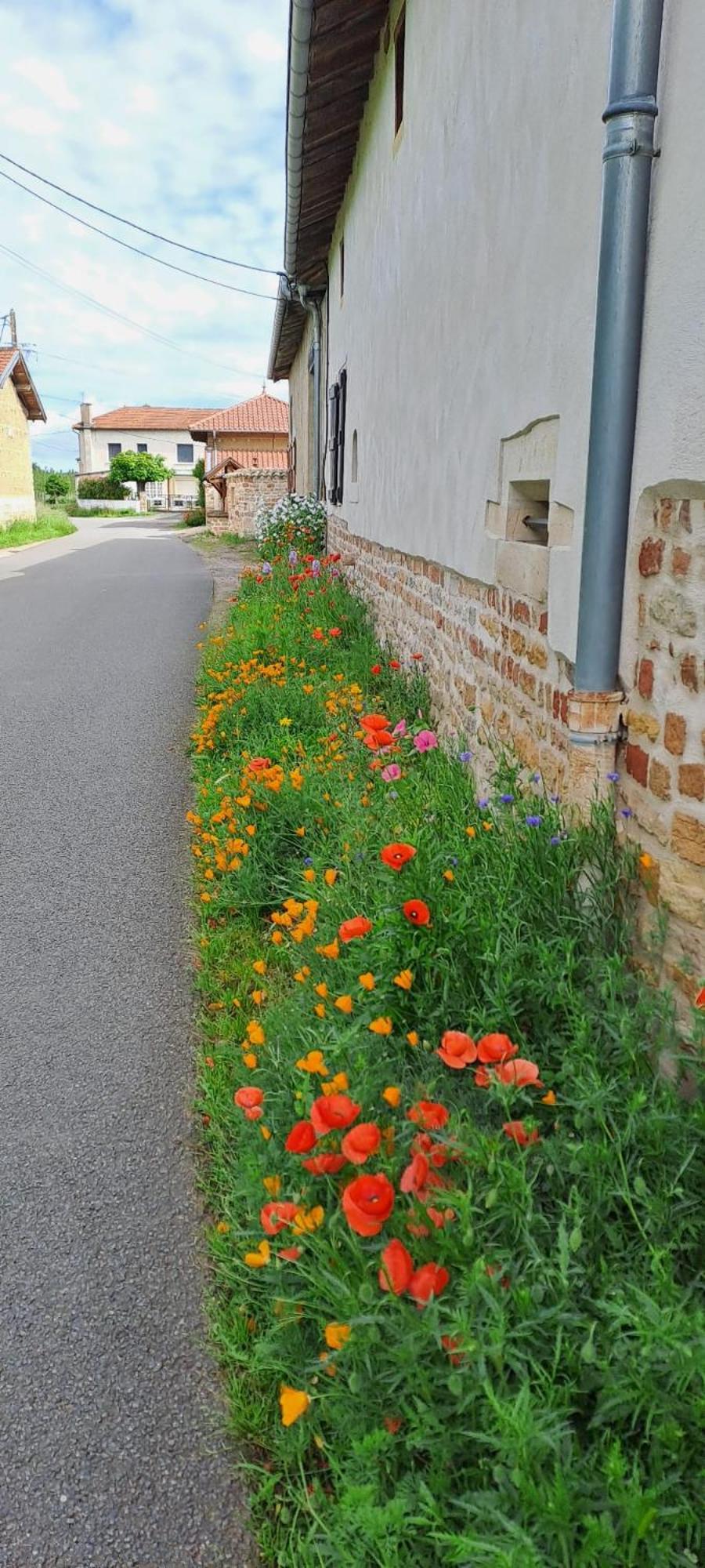 Chambres D Hotes Proche Macon Grieges Buitenkant foto